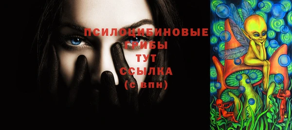 хмурый Анива