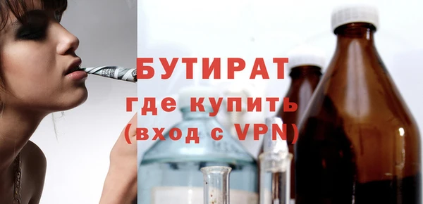 прущие грибы Апатиты