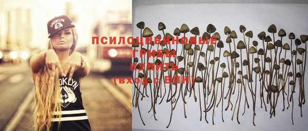 а пвп мука Нягань