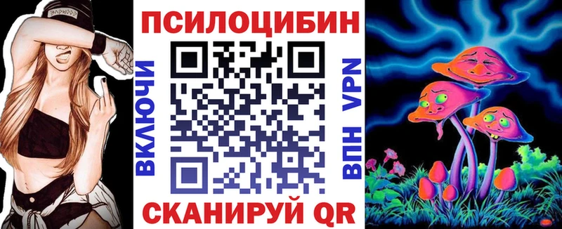 Галлюциногенные грибы GOLDEN TEACHER  MEGA сайт  Камышин 