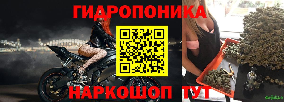Конопля MAZAR Камышин